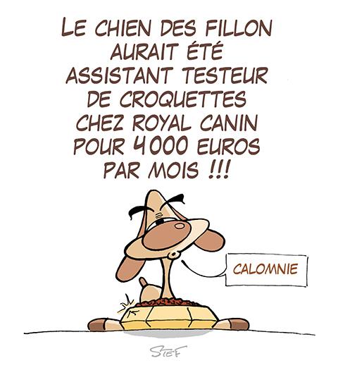 Illustration actu