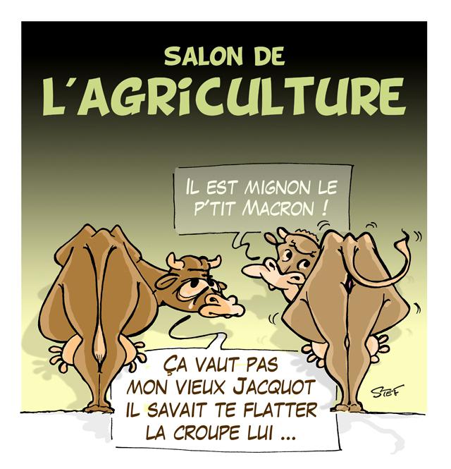 Illustration actu